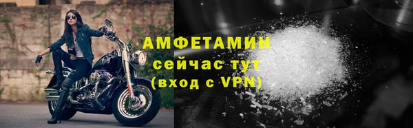 индика Белокуриха