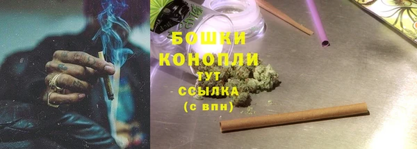 индика Белоозёрский