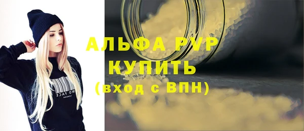 эйфоретик Богданович