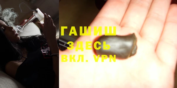 индика Белокуриха