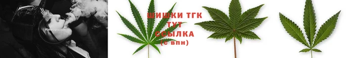 индика Белокуриха