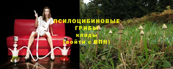 индика Белокуриха