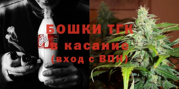 индика Белоозёрский