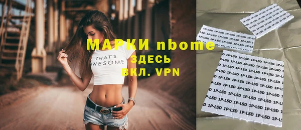 индика Белокуриха