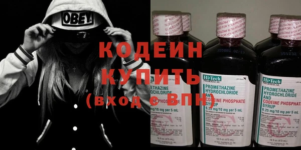 индика Белокуриха