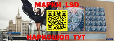 индика Дубна