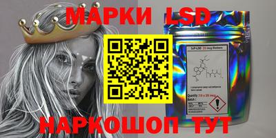 индика Дубна