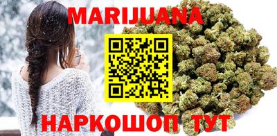 индика Дубна