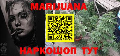 индика Дубна