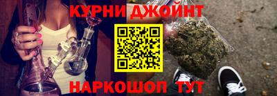 индика Дубна