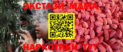 индика Дубна