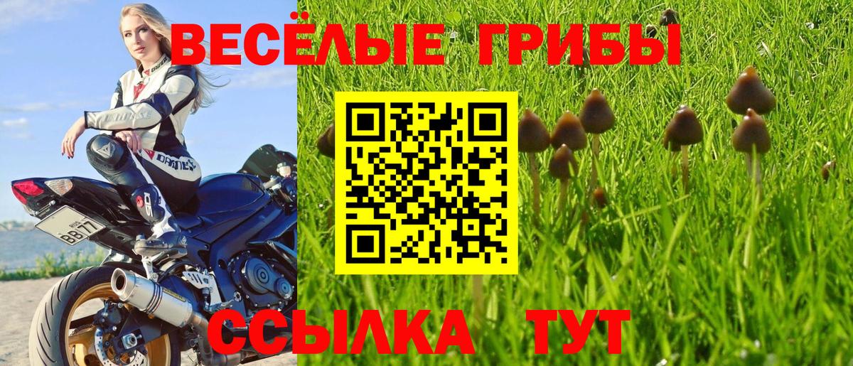 Псилоцибиновые грибы мицелий  Галлюциногенные грибы Magic Shrooms  Минеральные Воды  Вход с VPN 
